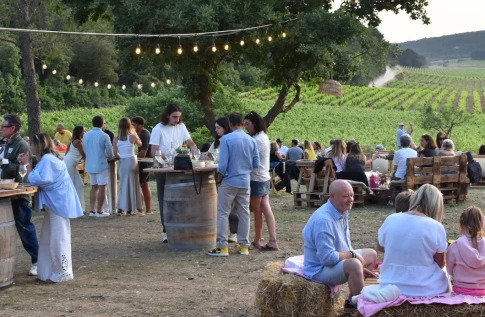 Rouviere Oenotourisme Cassis Evenementiel Rouviere Oenotourisme Cassis Evenementiel